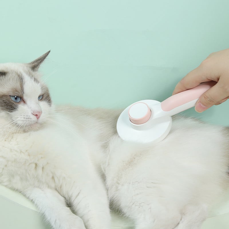 Pet Care
