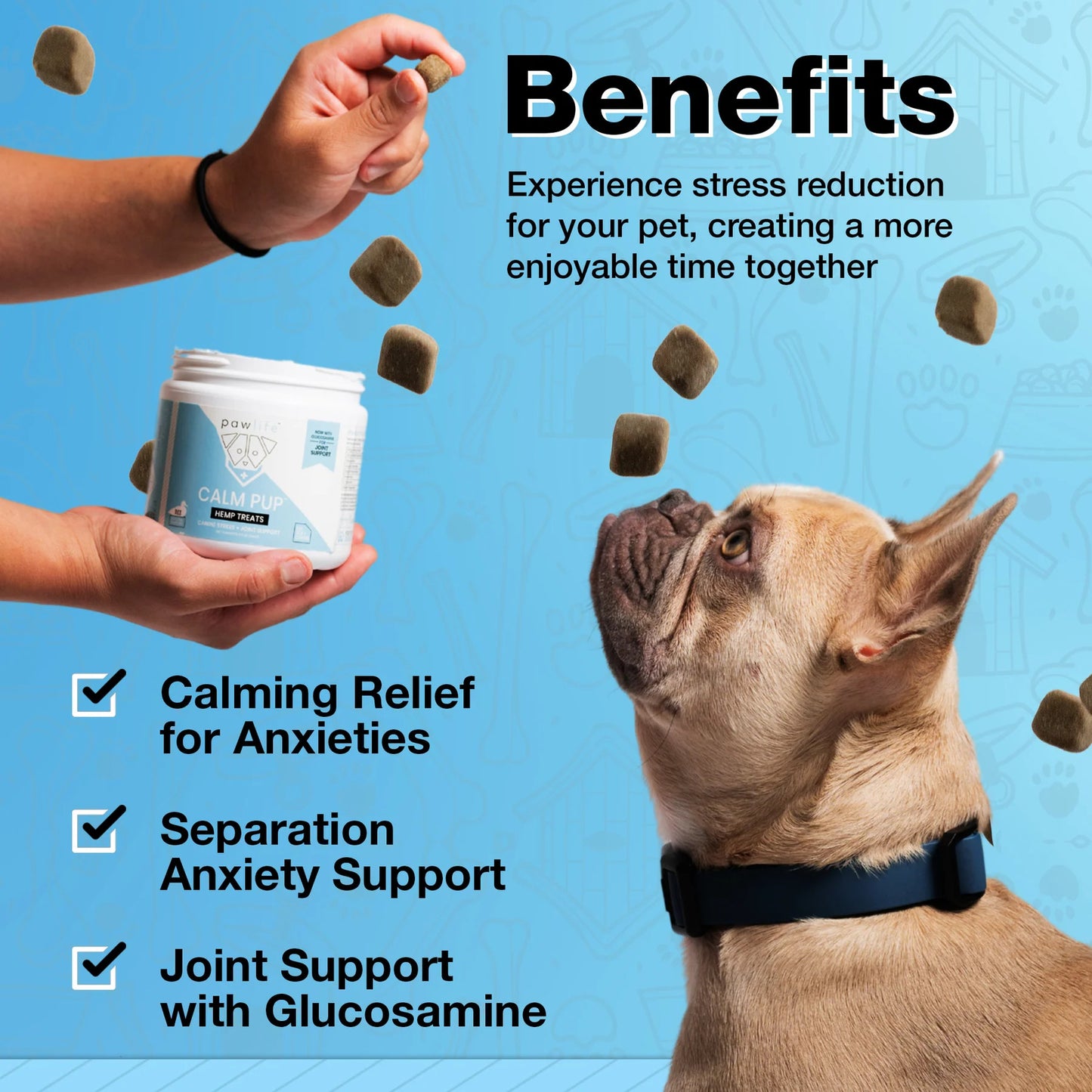 Pawlife Dog Calming Chews - Anxiety Relief Treats 60 Calming Treats for Dogs Paw Pop Store