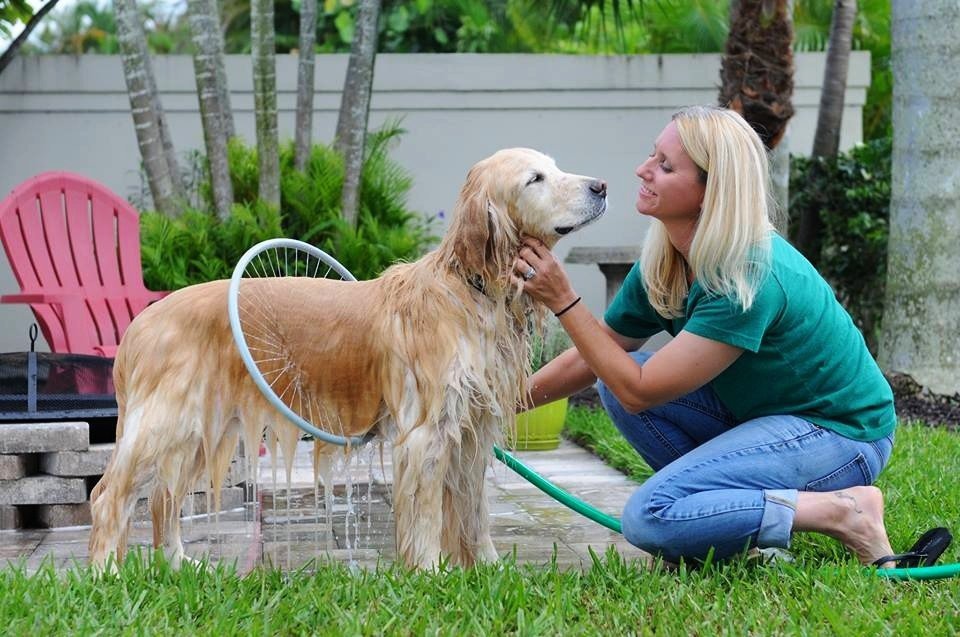 Dog Bathing Ring Tool Paw Pop Store